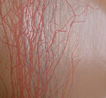 Decoración
